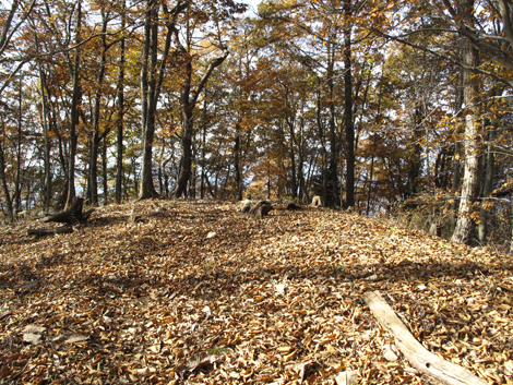 20161117hike (122)